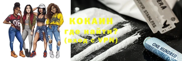 индика Новозыбков