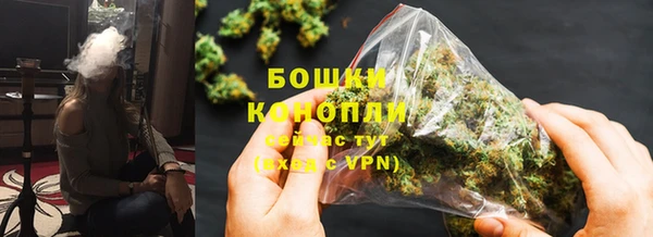 индика Новозыбков