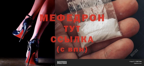 индика Новозыбков