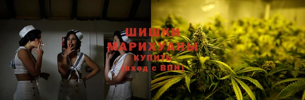 индика Новозыбков