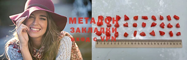 индика Новозыбков