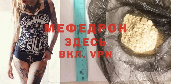 индика Новозыбков