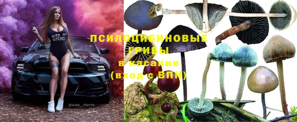 2c-b Новодвинск