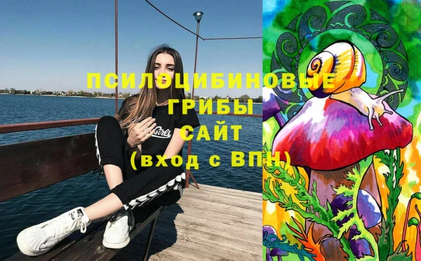 2c-b Новодвинск