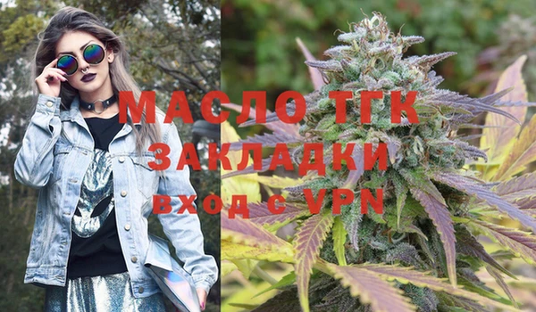индика Новозыбков