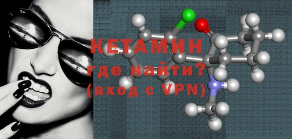 индика Новозыбков