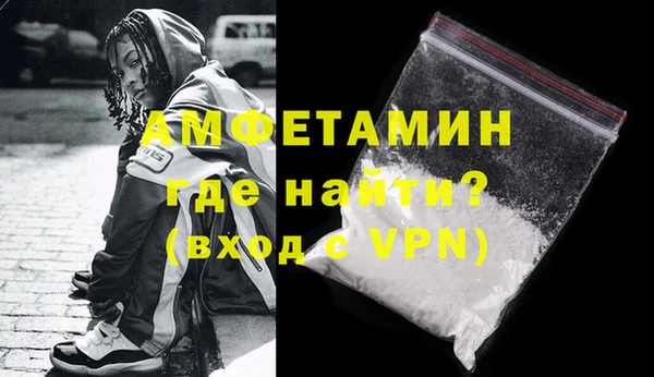 индика Новозыбков