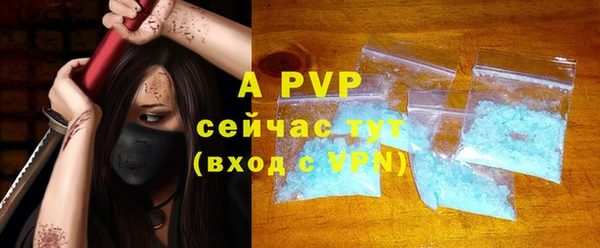 индика Новозыбков