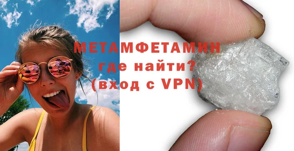 индика Новозыбков