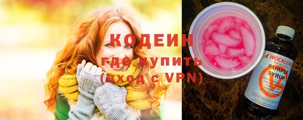 индика Новозыбков