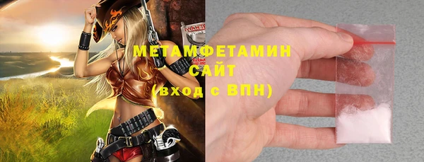 индика Новозыбков