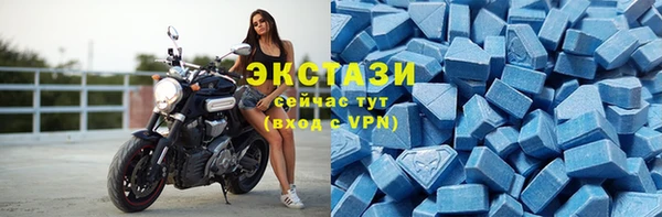 индика Новозыбков