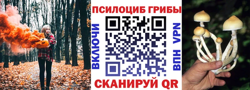 купить наркотики сайты Очёр мега сайт Галлюциногенные грибы Magic Shrooms