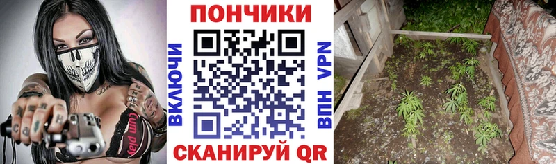Шишки марихуана THC 21% Очёр